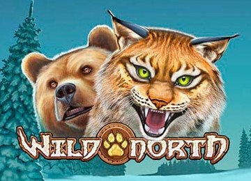 Wild North